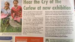 curlew news