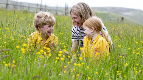 Among the buttercups